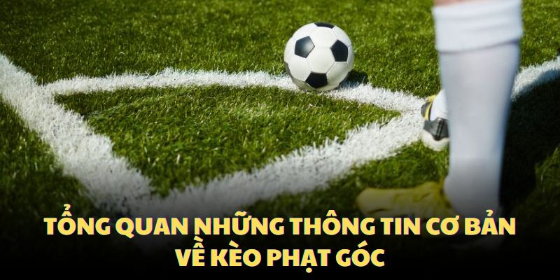 Kèo phạt góc tại 6623 là một loại kèo phổ biến trong cá cược bóng đá