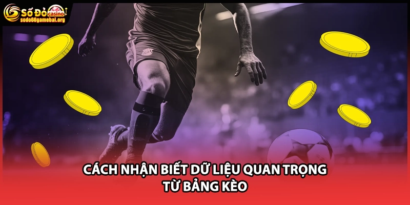 Cách nhận biết dữ liệu quan trọng từ bảng kèo