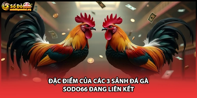 Đặc điểm của các 3 sảnh đá gà SODO66 đang liên kết