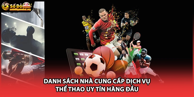 Danh sách nhà cung cấp dịch vụ thể thao uy tín hàng đầu