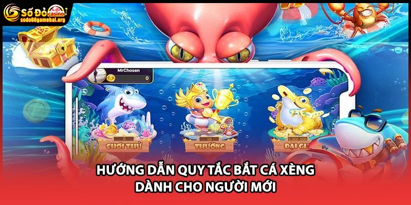 Hướng dẫn quy tắc bắt cá xèng dành cho người mới