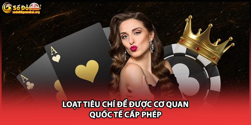 Loạt tiêu chí để được cơ quan quốc tế cấp phép