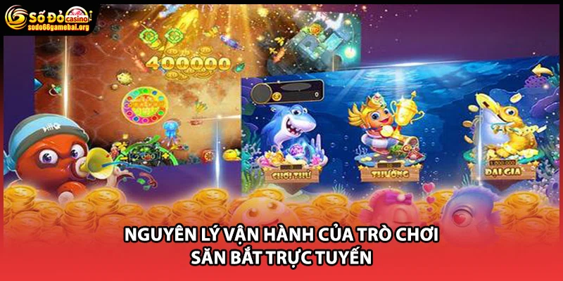 Nguyên lý vận hành của trò chơi săn bắt trực tuyến
