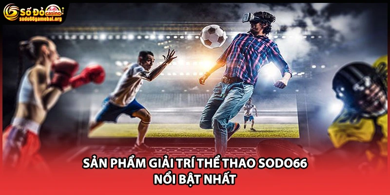 Sản phẩm giải trí thể thao Sodo66 nổi bật nhất