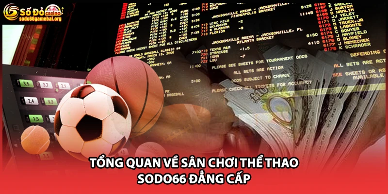Tổng quan về sân chơi thể thao Sodo66 đẳng cấp